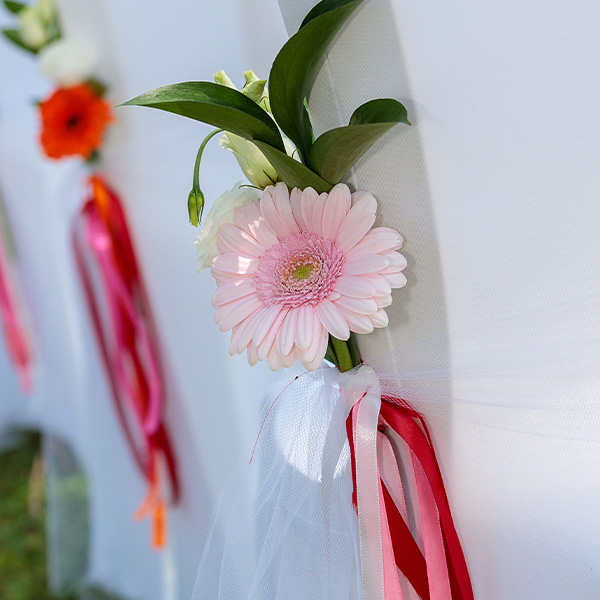 allee ceremonie rose