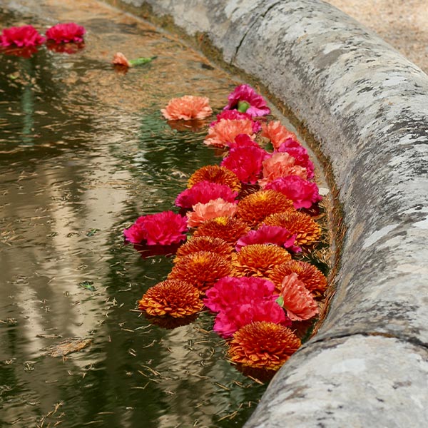 ensemble de fleurs qui flottent dans un étang lors d'une cérémonie de mariage