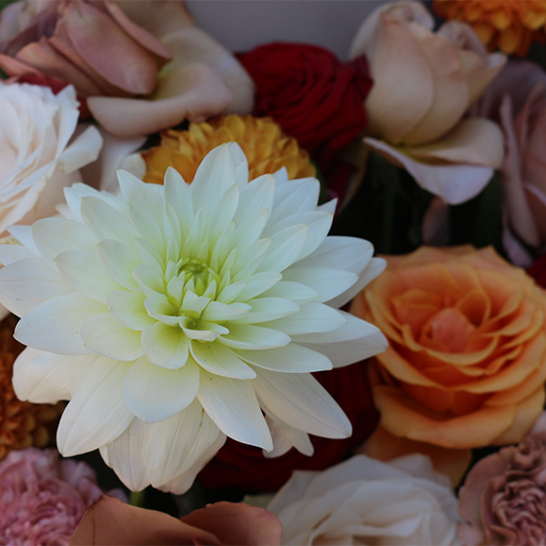 détail sur des fleurs de couleurs pour un mariage